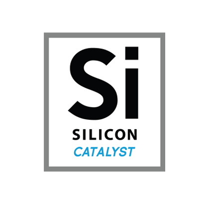 silicon catalyst
